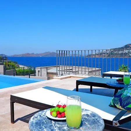 5 Bedroom Luxury With Private Pool And Private In Bodrum-gumusluk 2 וילה